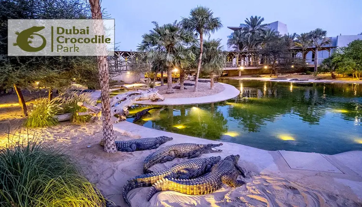 Dubai Crocodile Park - Entry into Museum and Aquarium - Child (AED75), Adult (AED89)