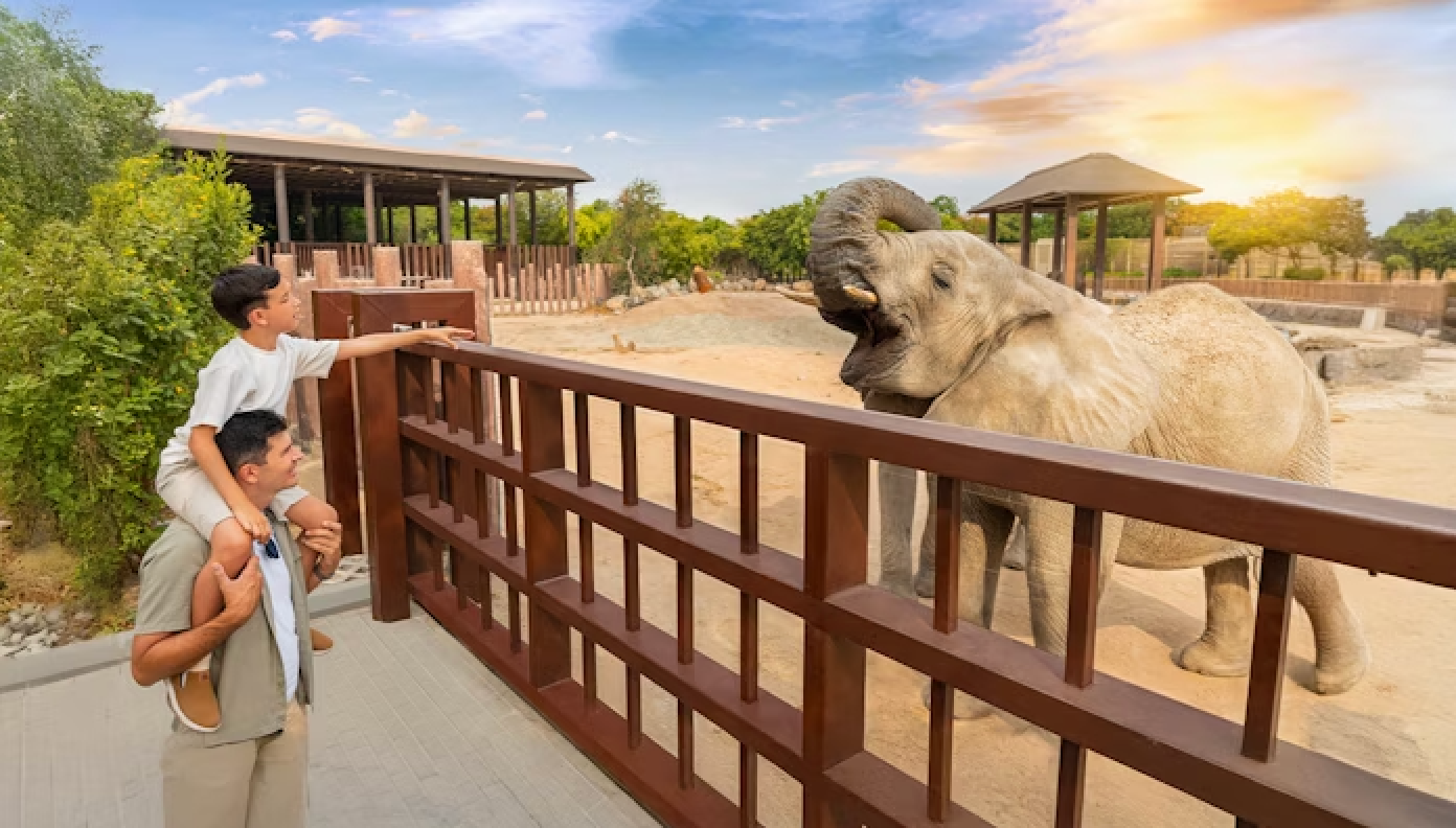 Dubai Safari Park - Park Entrance Tickets, Child (AED25) & Adult (AED49). Unlimited Train Ride with Explorer Package Available